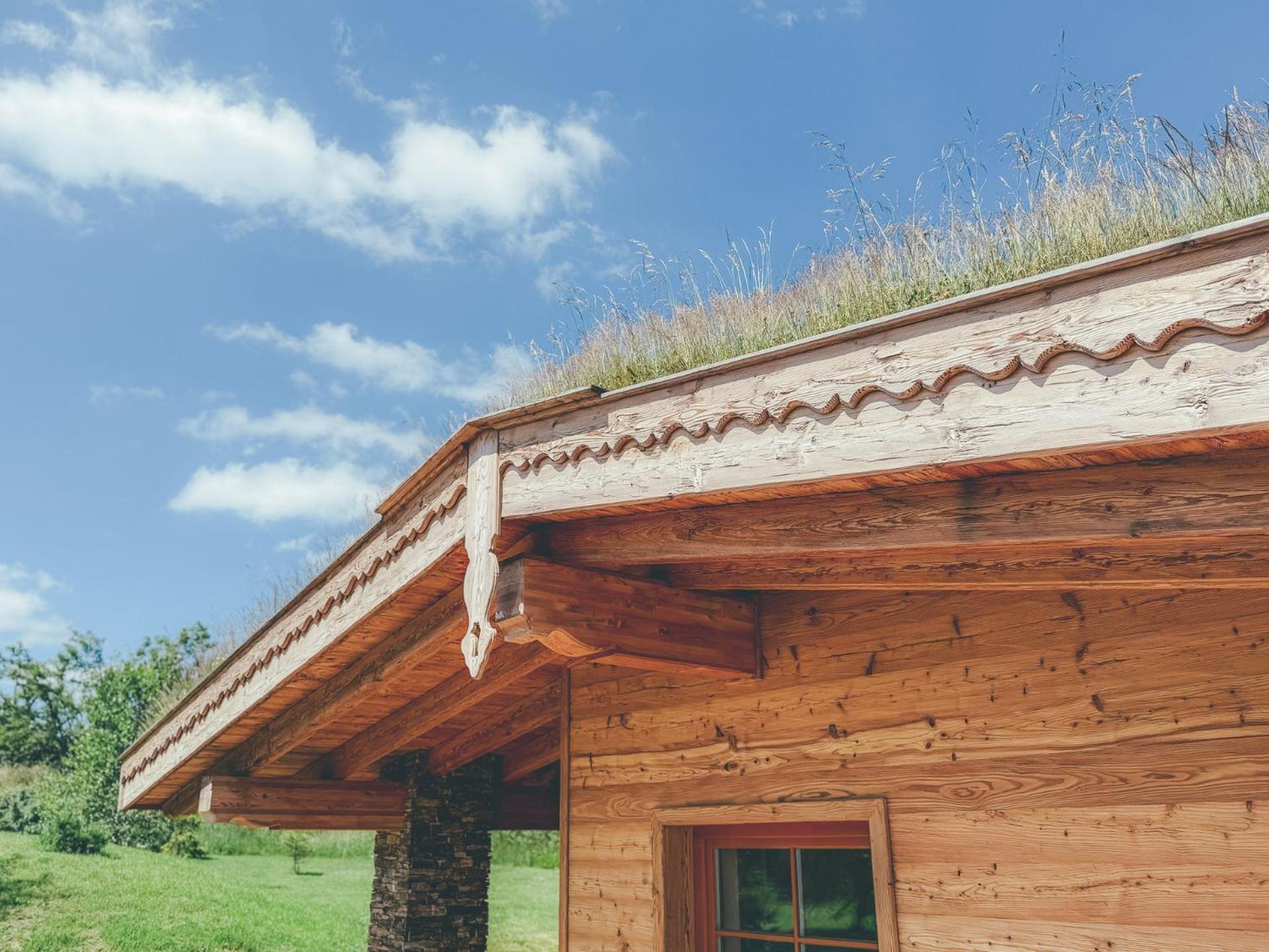 Chalets Resort Cínovec Exteriér fotografie